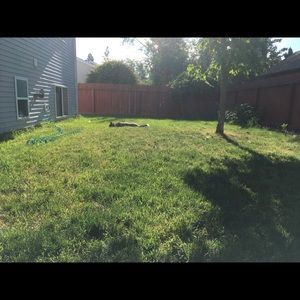 Meet your Posher, Amberly